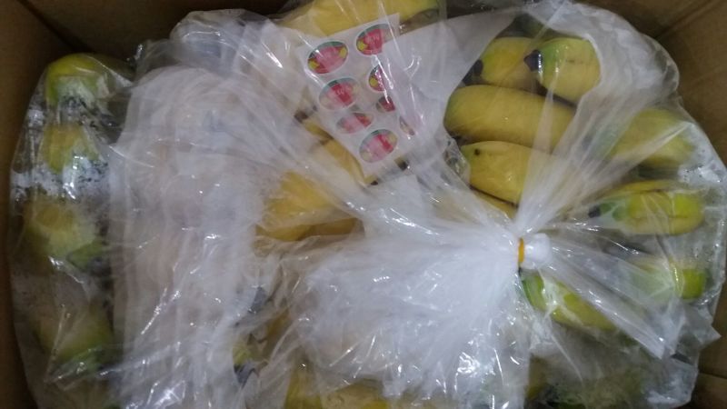 威廉斯香蕉九成熟