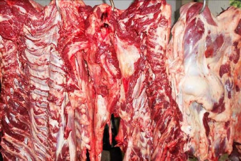 驴肉