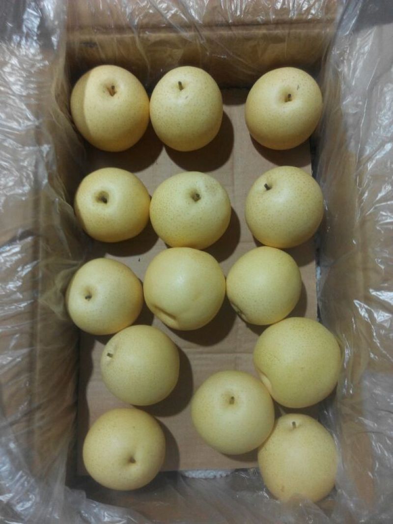 皇冠梨250~300g纸袋