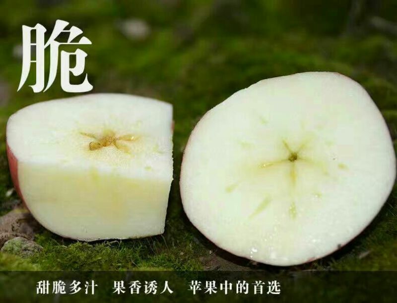 花牛75mm以上光果