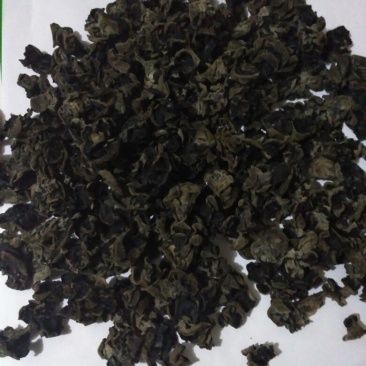 黑木耳一级