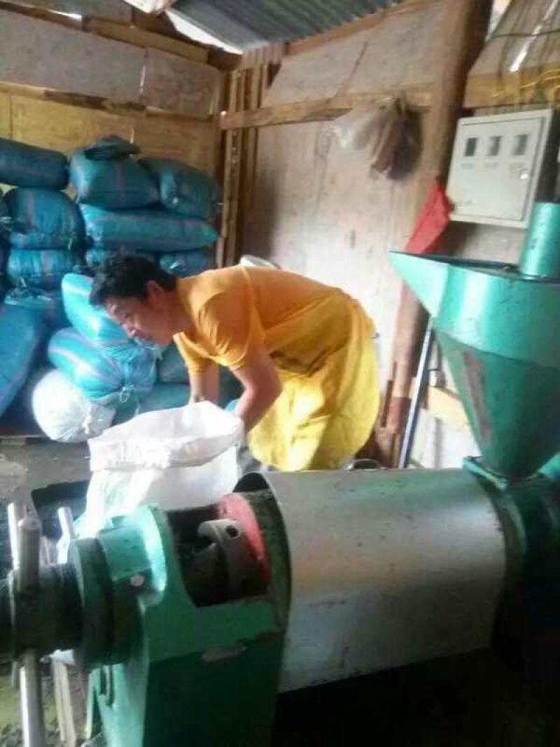 压榨菜籽油一级