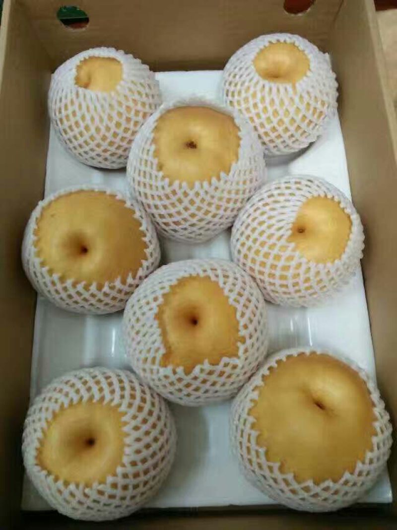 晚秋黄梨100~150g纸袋