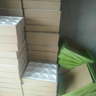 酥梨300~350g纸箱