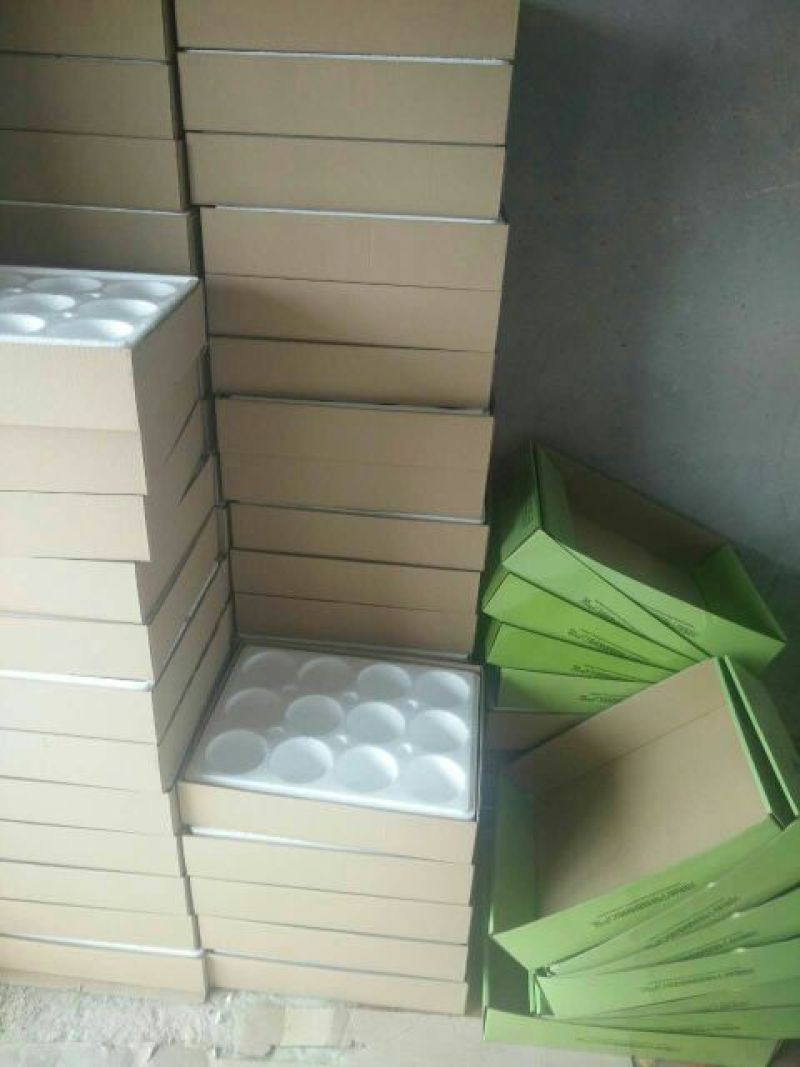 酥梨300~350g纸箱