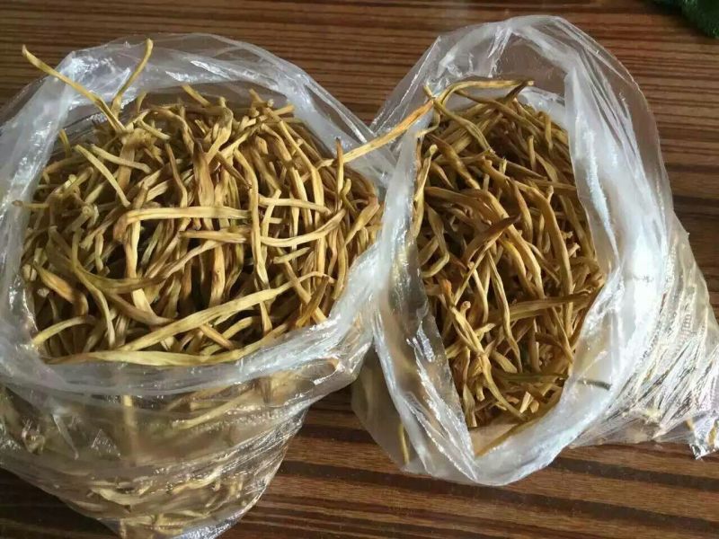 黄花菜金针菜产地直供万亩菜地大量有货，干湿同收散装一级