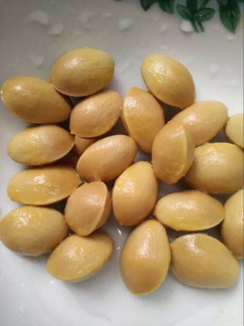大果银杏白果