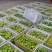 【蜜橘】湖北精品蜜橘特早蜜橘大量上市现场采摘质量保证