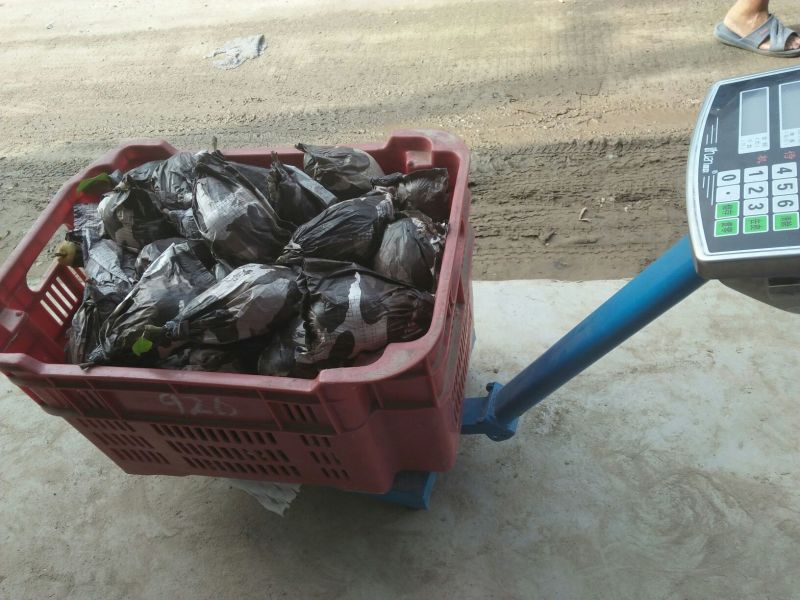 贵妃梨300~350g纸箱