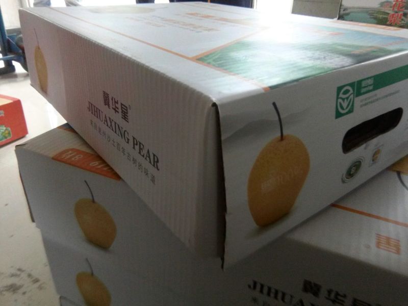皇冠梨400~450g纸袋