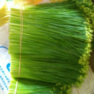 韭花15~20cm20~25cm