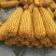 丰县春玉米16~20%…………………………………………
