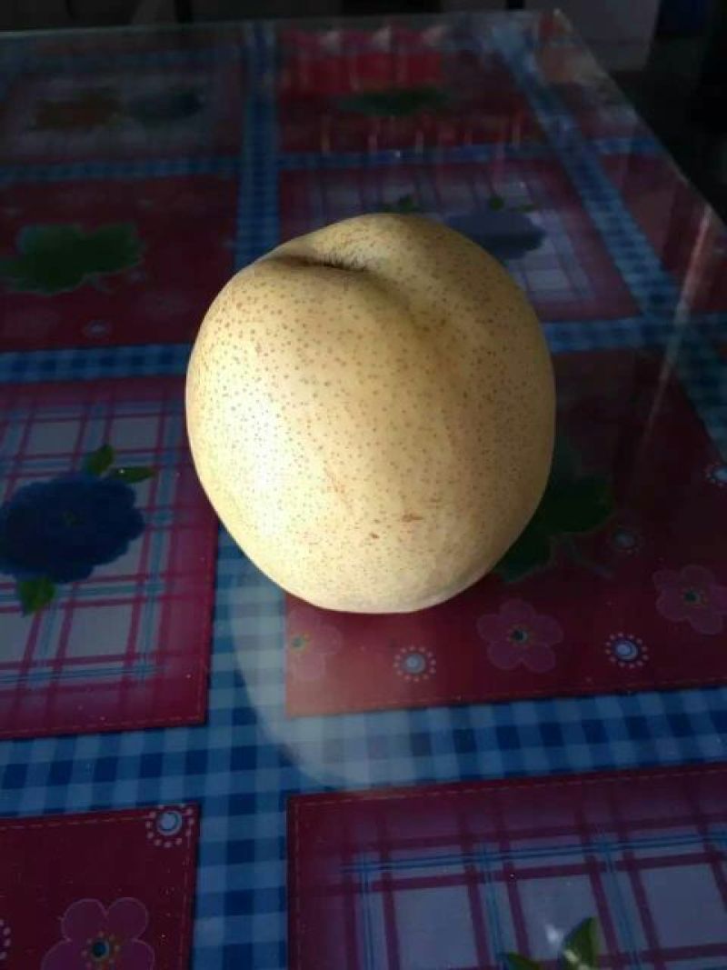 酥梨150~200g纸箱