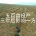 香橙砧沃柑苗30~50cm，基地直销提供技术