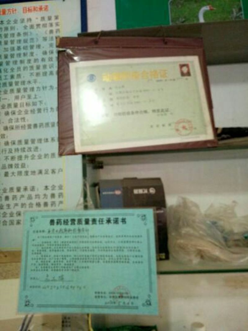 鸡苗1斤以下