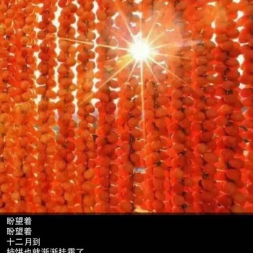柿饼