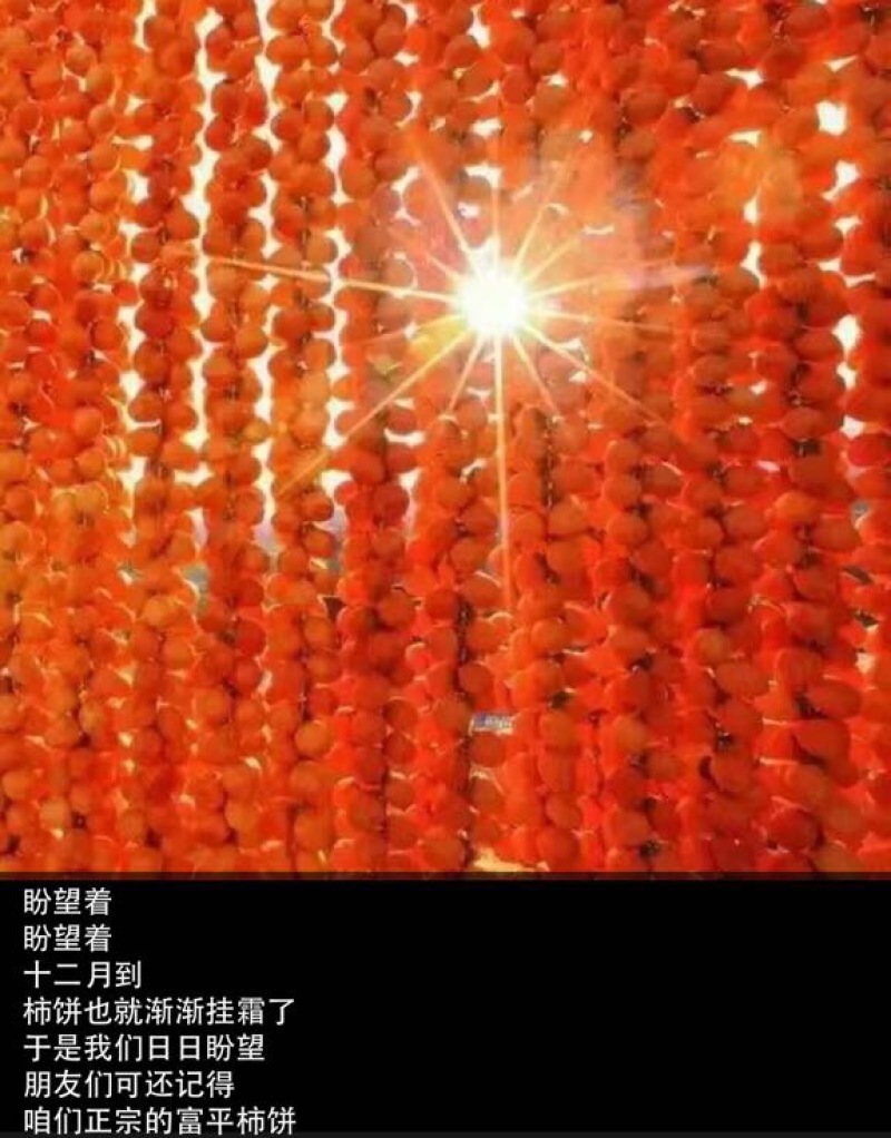 柿饼