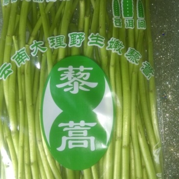 芦篙