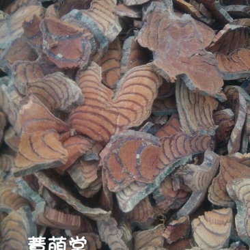 鸡血藤