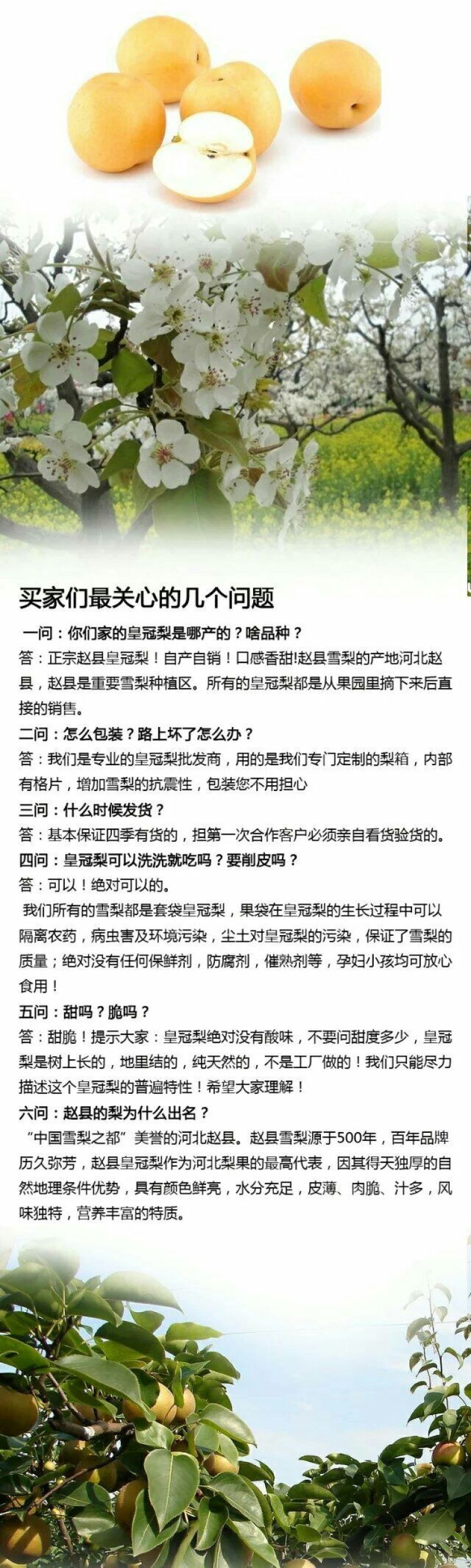 皇冠梨纸袋250~300g