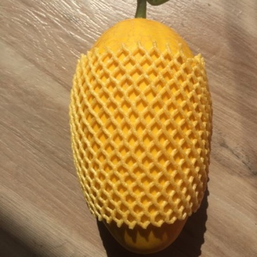 哈密瓜