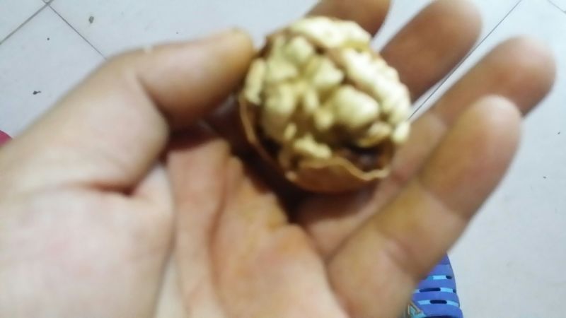 核桃去皮