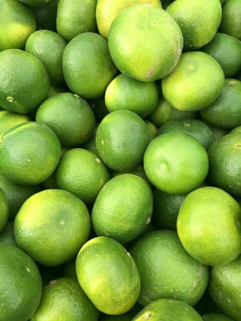 湖北宜昌市秭归县蜜桔 6.5~7cm批发_陈慧供应