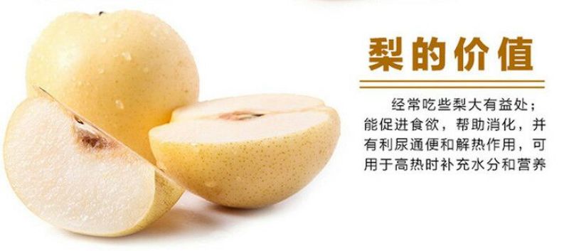皇冠梨550~600g纸加膜