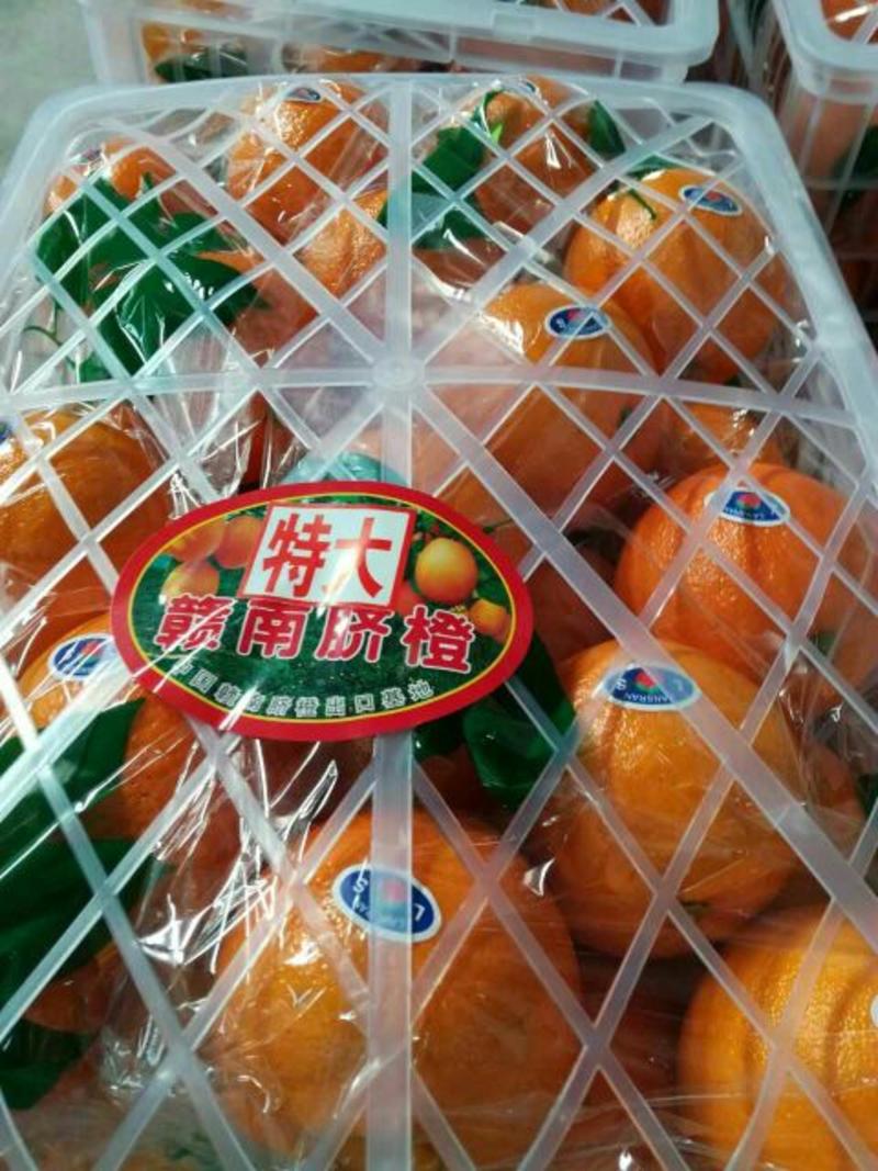 爱媛橙爱媛38果冻橙产地一首货源，支持发货欢迎订购