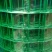 荷兰网50*50mm
