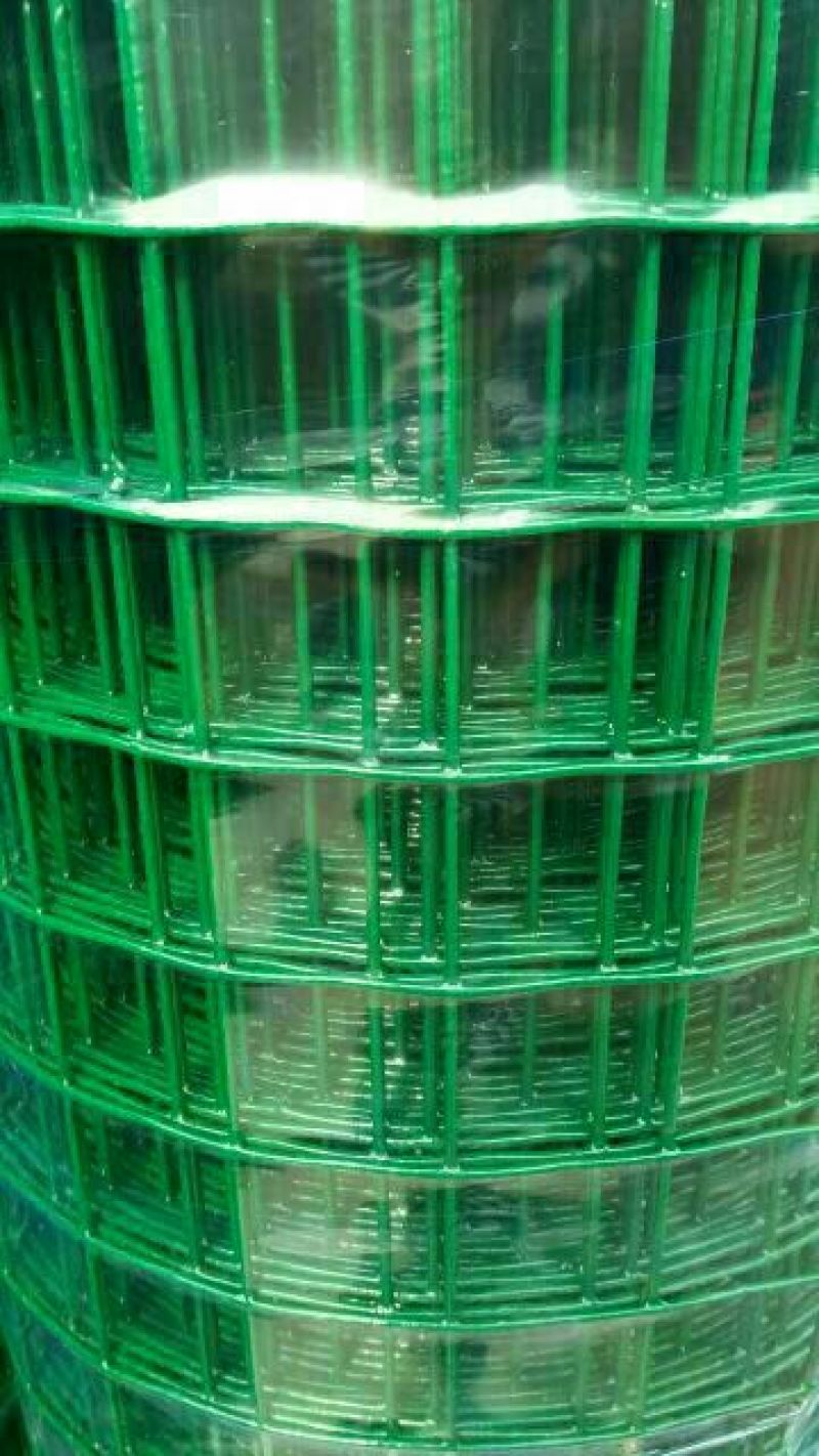 荷兰网50*50mm