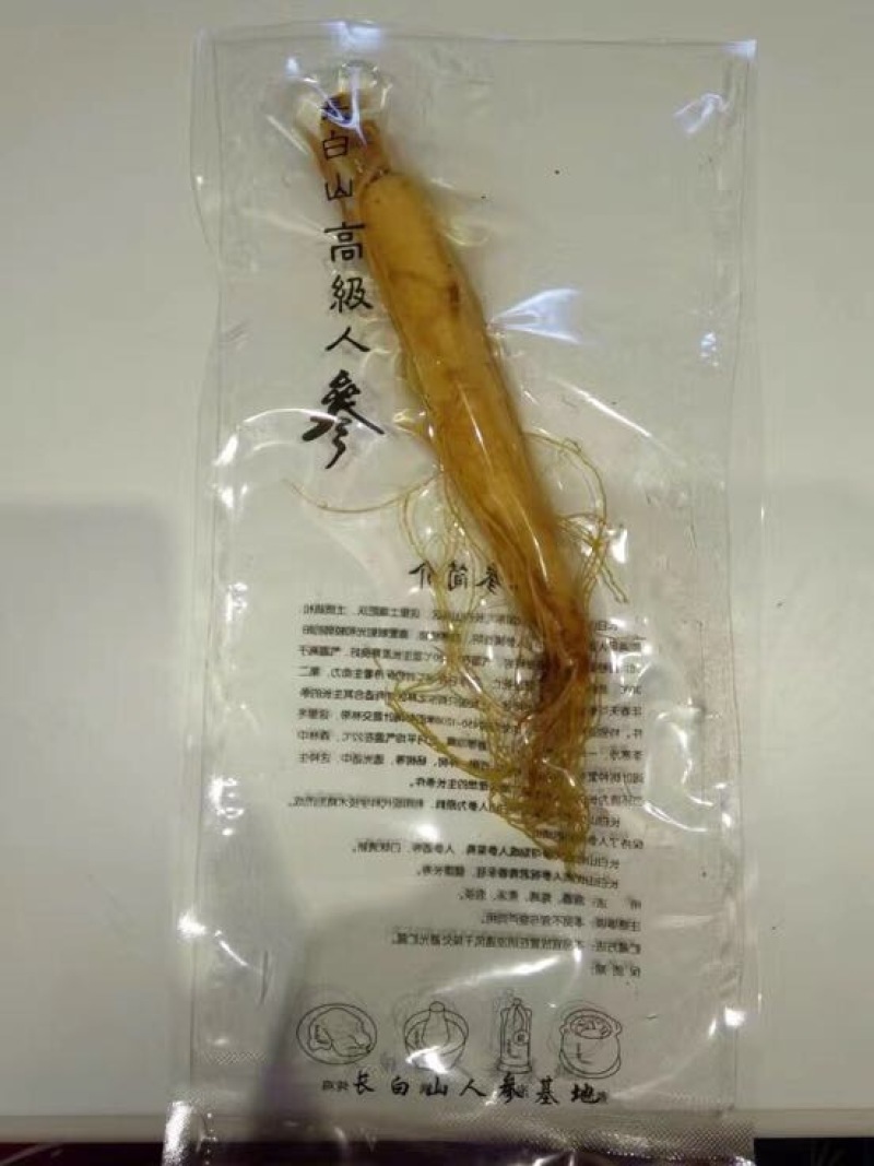 人参