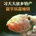 柿饼1~2两
