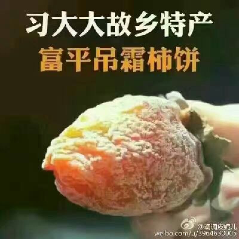 柿饼1~2两