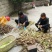 雷竹笋
