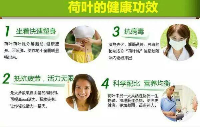 荷叶茶特级