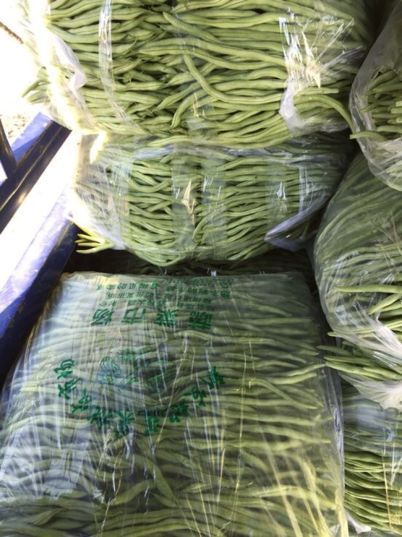 蛇豆大量上市欢迎新老客户选购