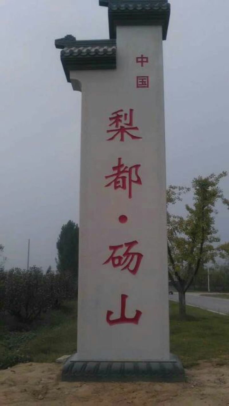 砀山梨250~300g纸箱