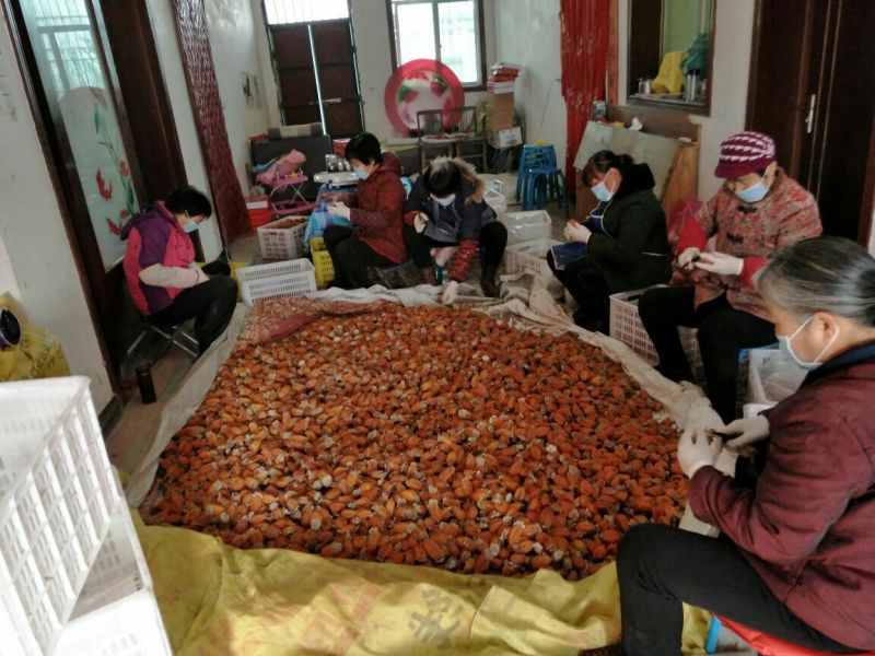 柿饼1~2两