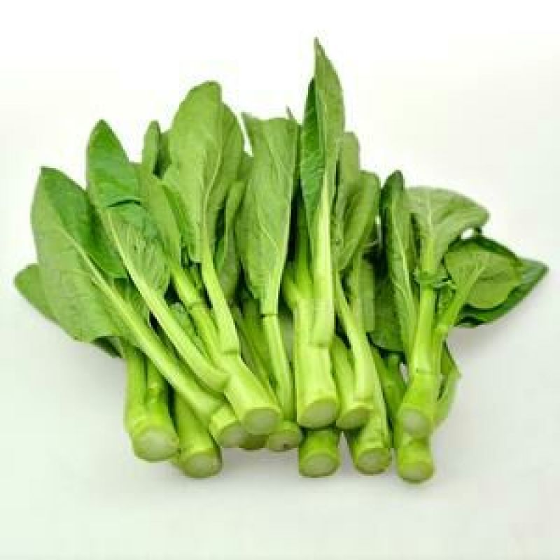 蔬菜