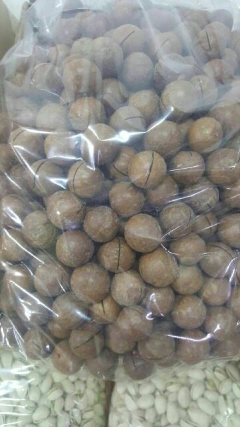 夏威夷果带壳
