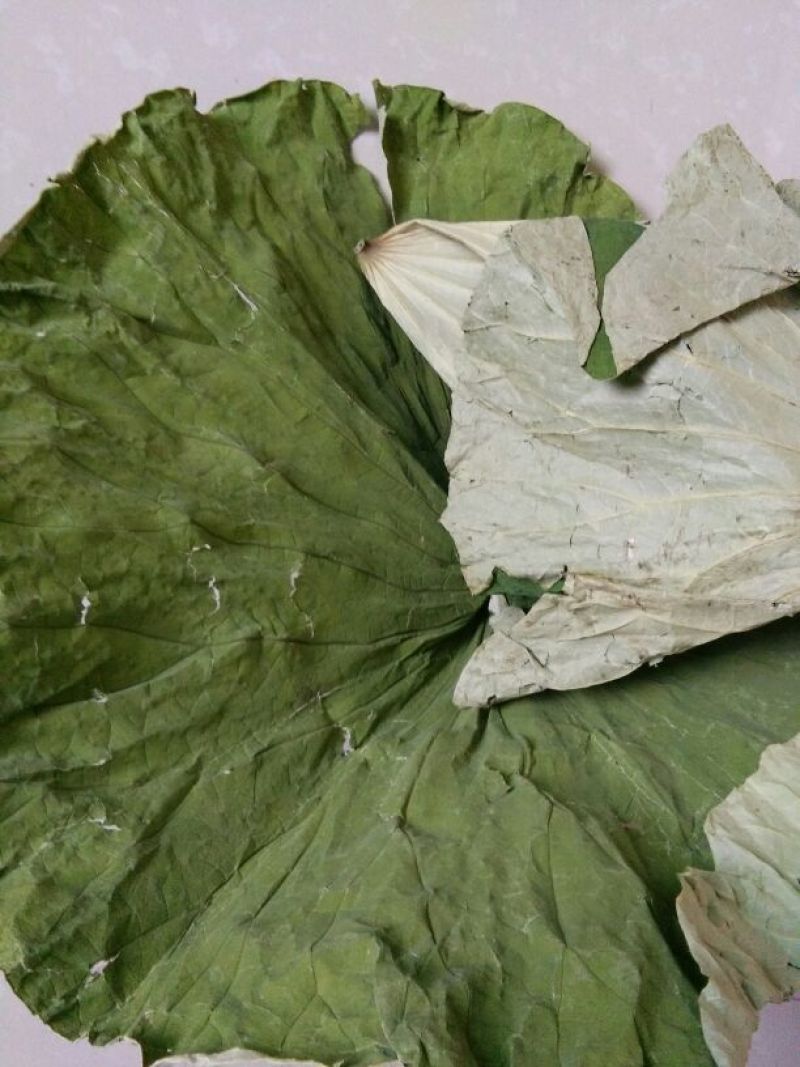 荷叶茶一级