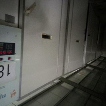 土鸡苗1斤以下