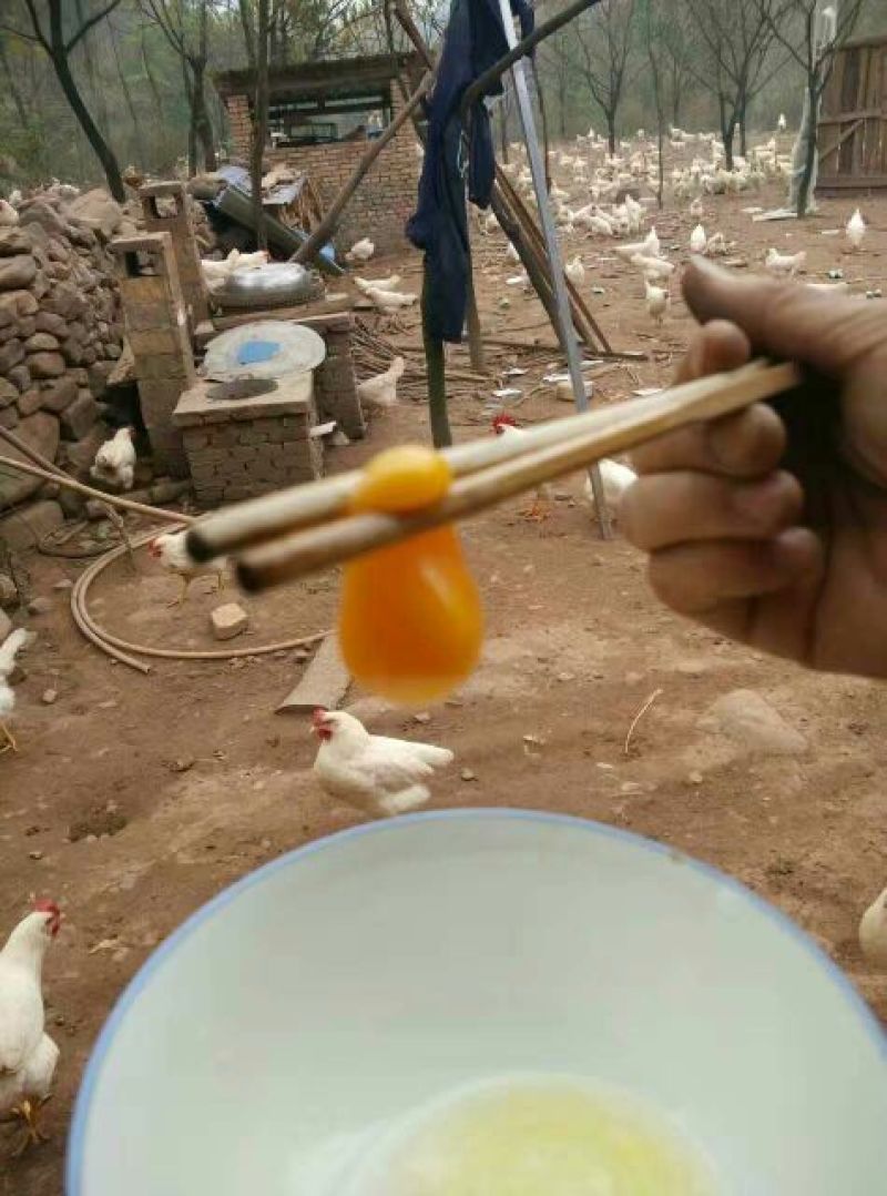 土鸡蛋食用50g以下