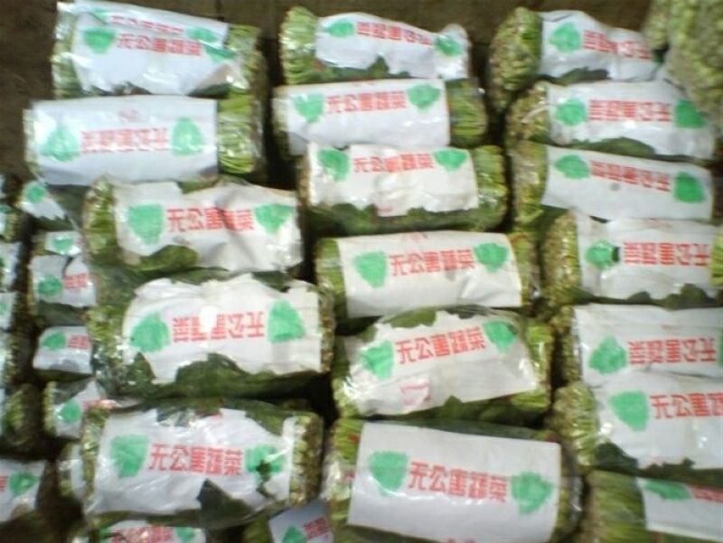 【大叶菠菜】产地直供现摘现发实力代收脆嫩货量充足品质保证
