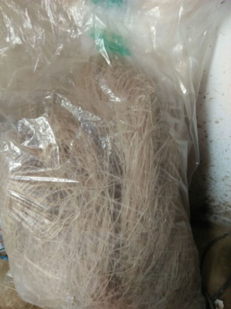 红薯粉丝