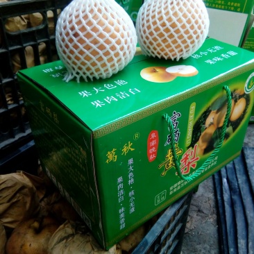 富硒梨450~500g纸箱
