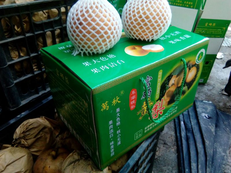 富硒梨450~500g纸箱