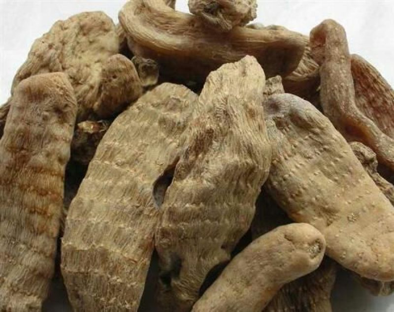 天麻特级