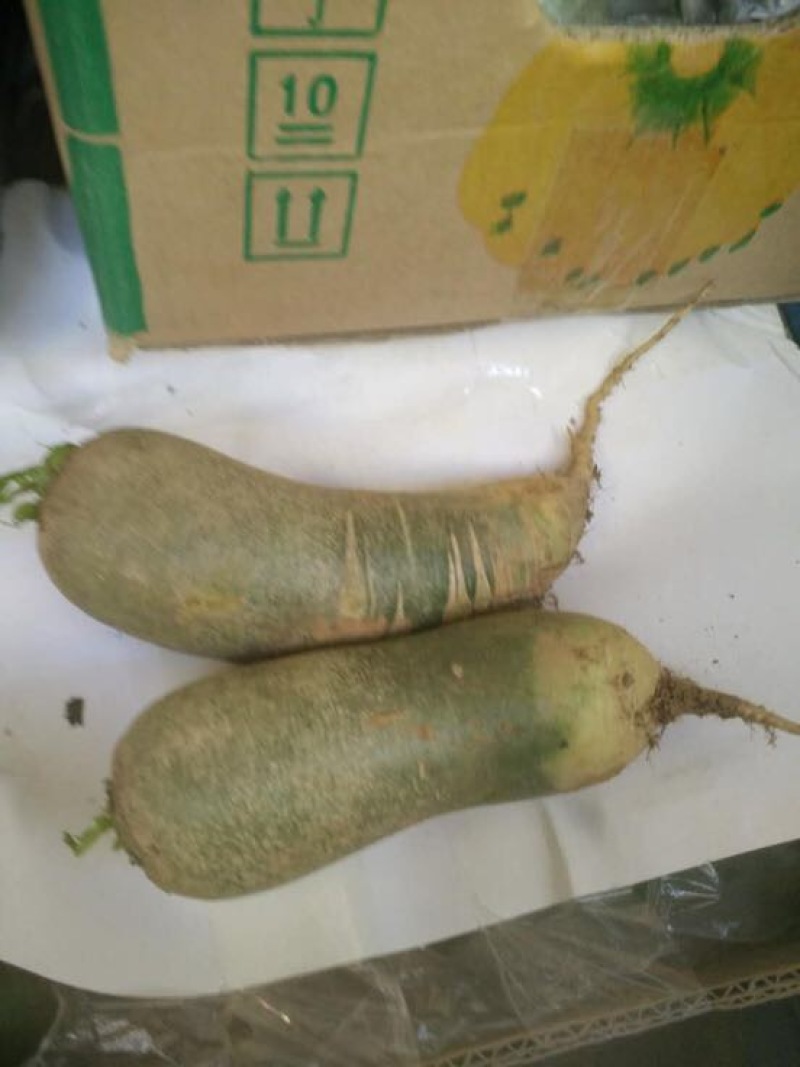 水果萝卜